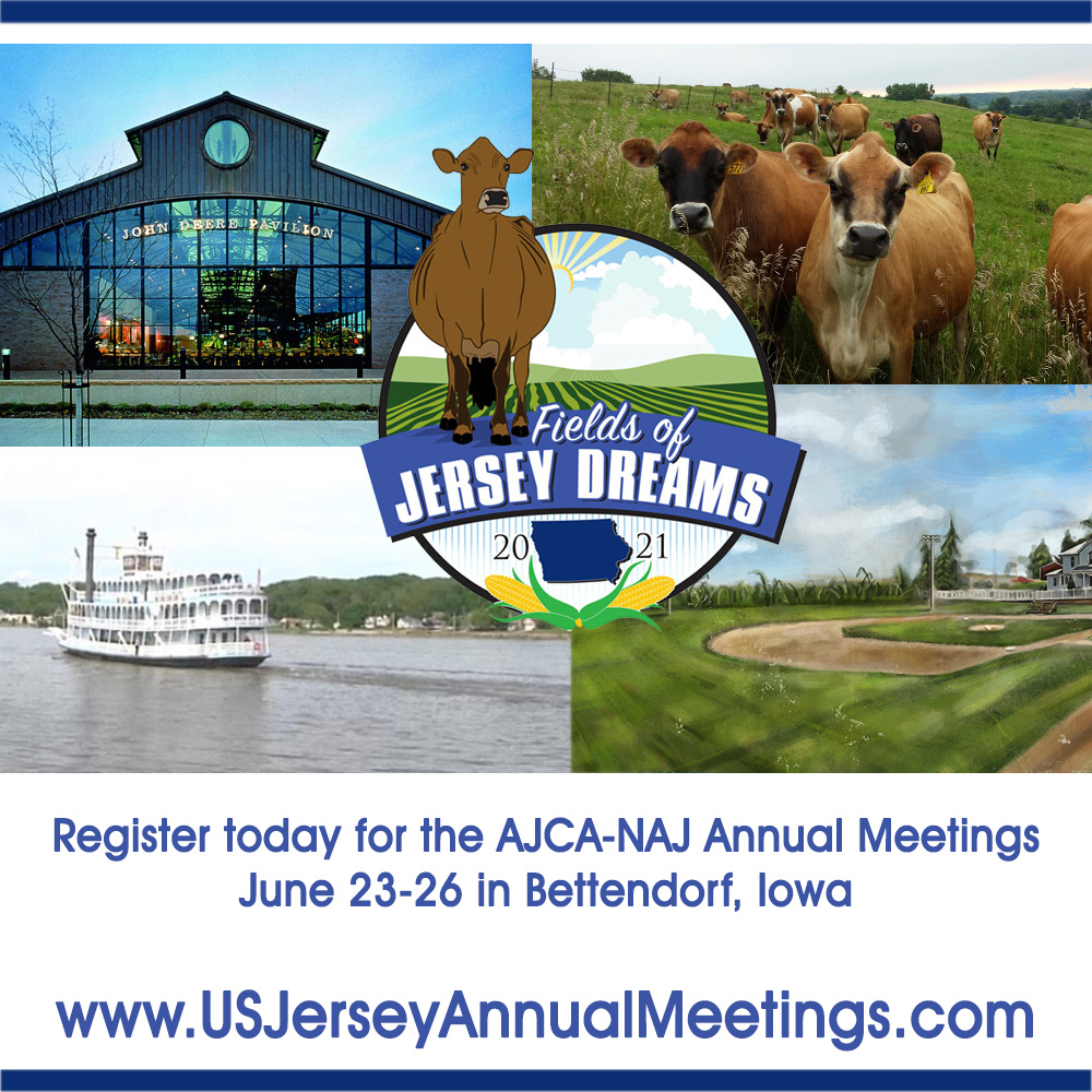 USJersey American Jersey Cattle Association & National AllJersey Inc.